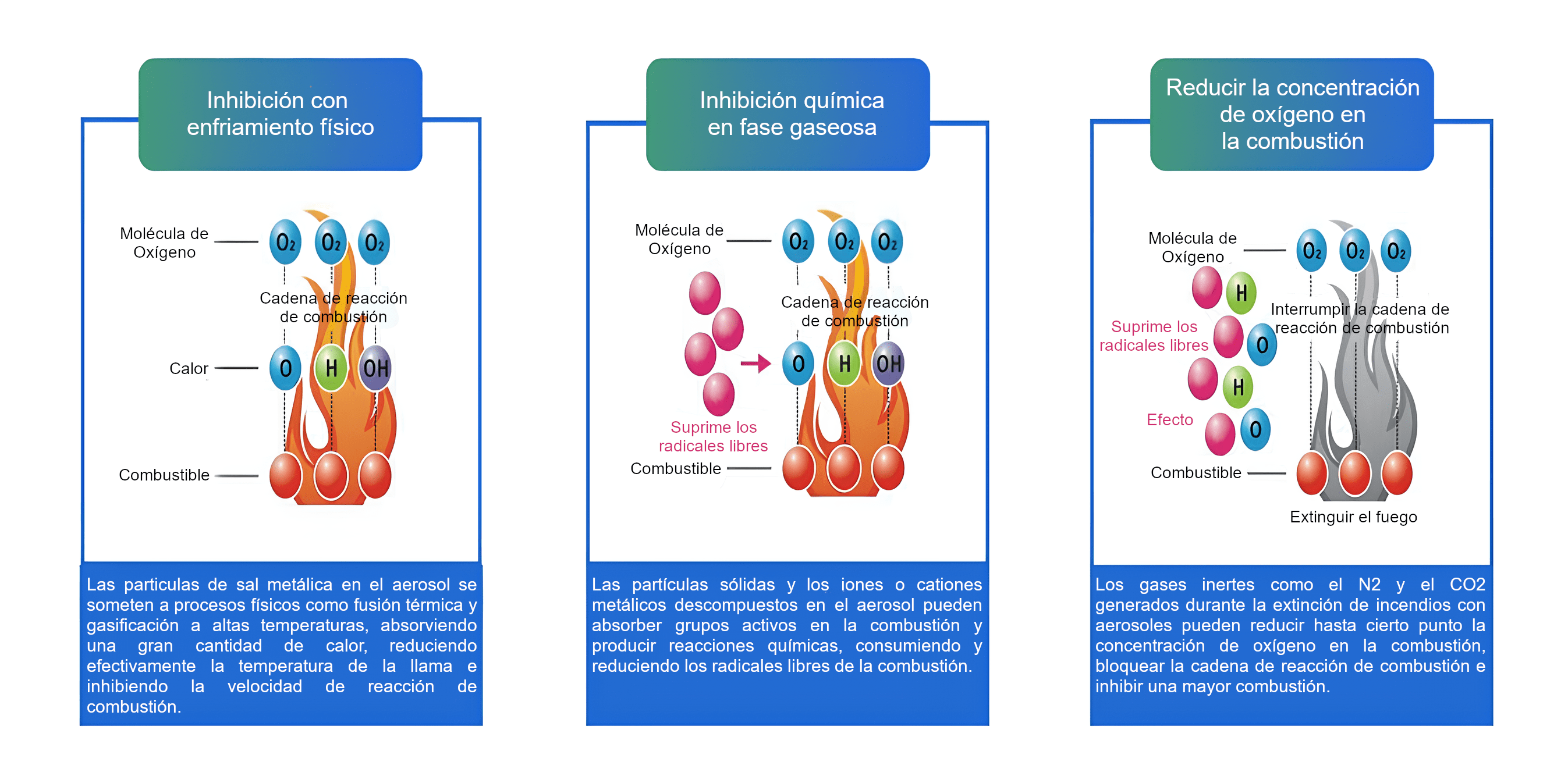 Foto final Foto final